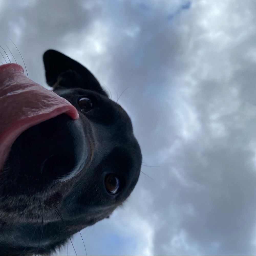 Meet your Posher, Miranda